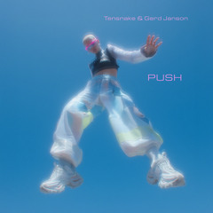 Push (Extended Mix)