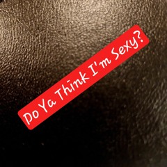 Do Ya Think I'm Sexy? (Rod Stewart)