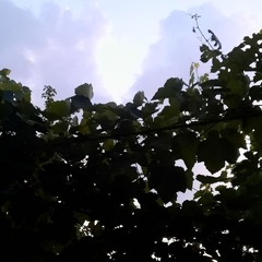 SALEM - Redlights (Coralcola Fuckup)