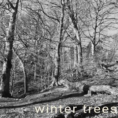Winter Trees
