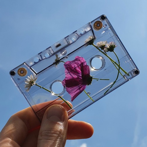 Field Recordings, Experiments & Installations