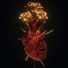heart øn my $leeve