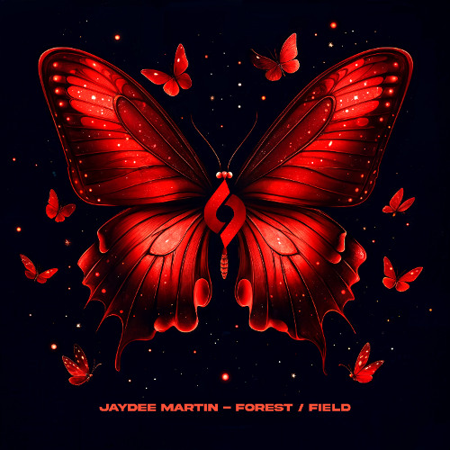 JayDee Martin, Journey of the Soul - Field [Journey of the Soul]