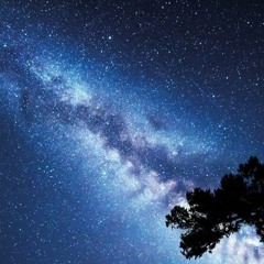 The night sky