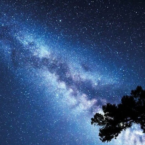 The night sky