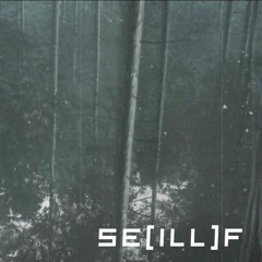seillf~desti^y//destiny (lo-fi remix)