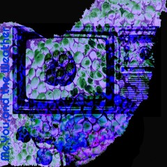 You, Me & The Weather