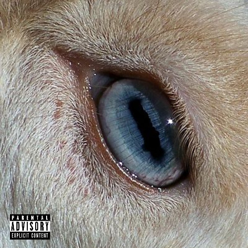 Stream Tha Goat (Prod. skreer x zoc) by King Zane! | Listen online