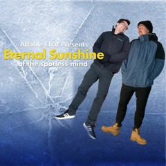 Eternal Sunshine Of The Spotless Mind