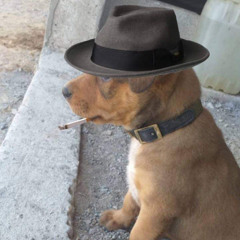 Quiet Storm, Steady Flame