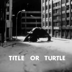 Title or Turtle n°01 : Tatiana Karl Pez