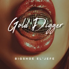 Gold Digger
