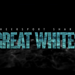 great white sharks 20-21