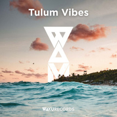 Tulum Vibes 2024 (Habitas Tulum, Lee Burridge,  Nicola Cruz, Art With Me, Mayan Warrior, Chillout)