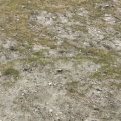 imaginary at my room