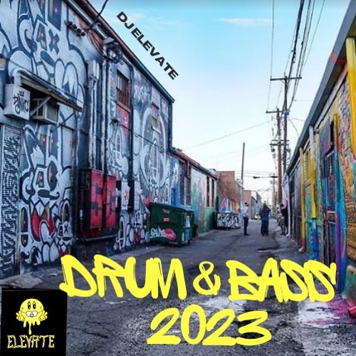 Stream Drum And Bass Mix 2023 by DJ Elevate Listen online for free on