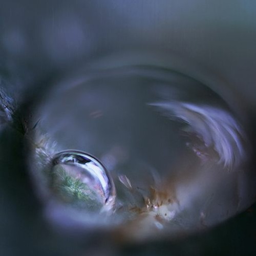 Fresh Produce 76 - Back to the Present