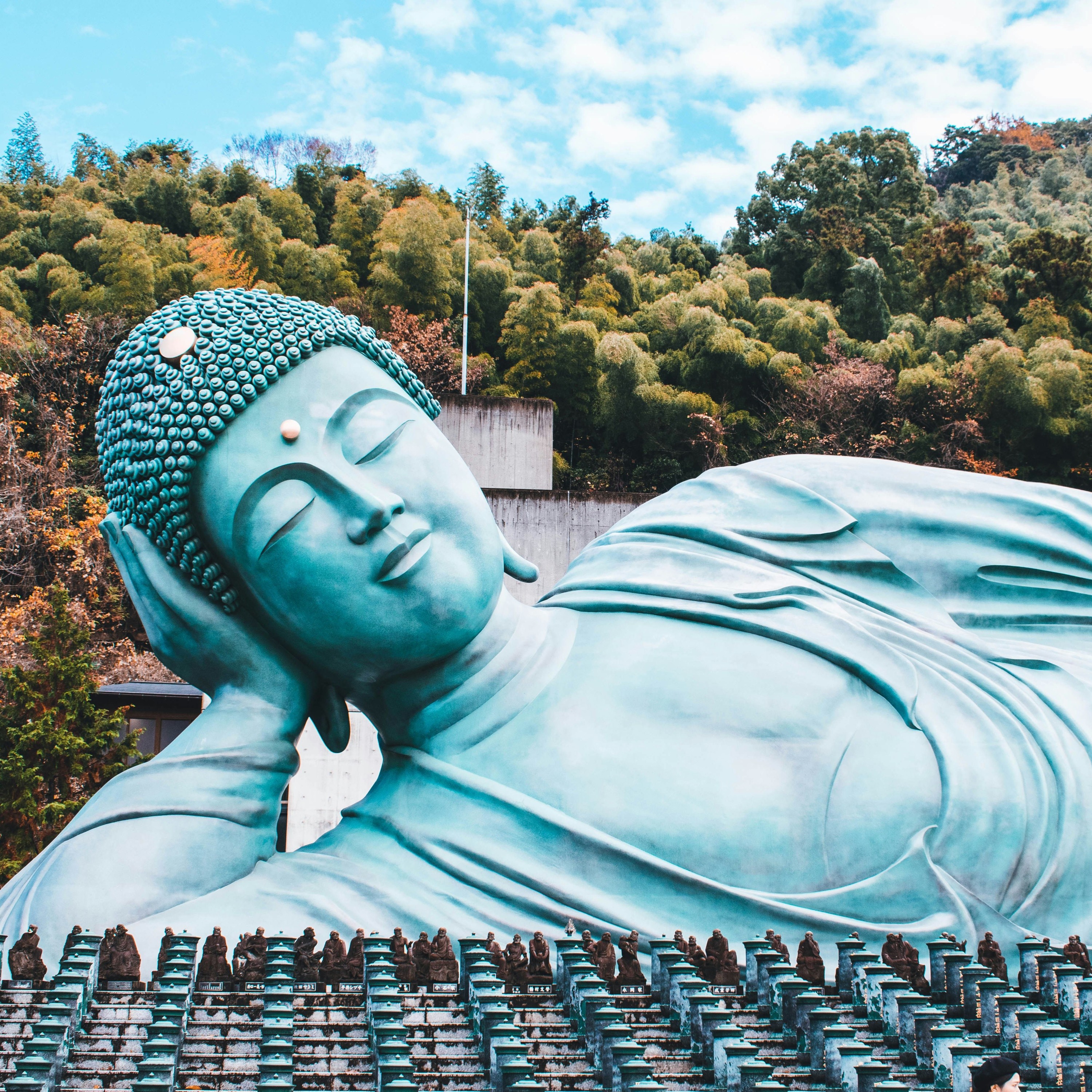 Associazione Kalyanamitta: Meditazione, Mindfulness, Buddhismo