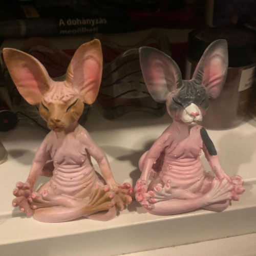 m@x1mp0rK荷降ろし + der0thデロス ー ステラウィーク