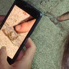ansante_120824