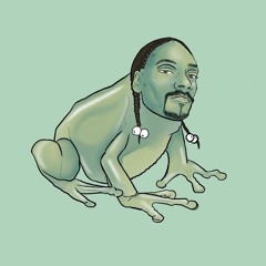 SNooP FroGG