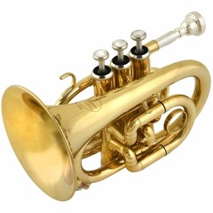 Happy Trumpet