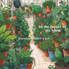 In the corner of my room JGF - Planta, cuidado y hogar - Plant, care and home
