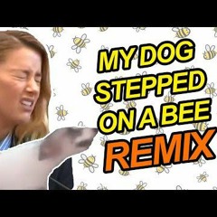 My Dog Stepped On a Bee (Remix) by Party In Backyard
