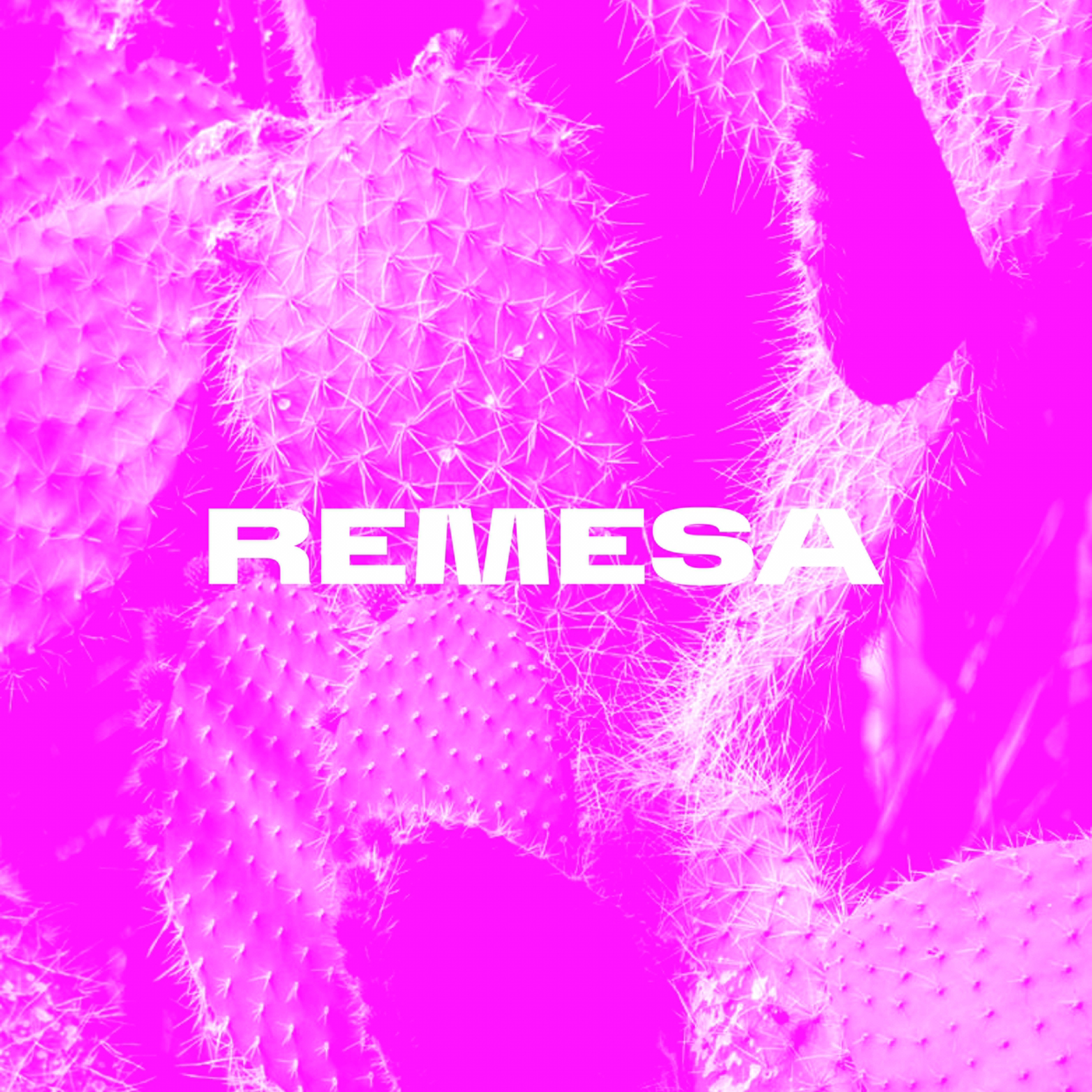 REMESA