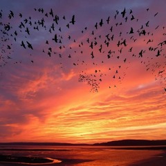 Banshee's Death Song