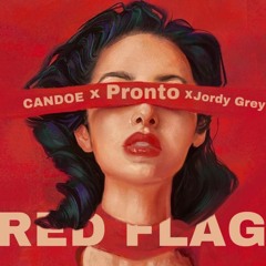 RED FLAG(Feat.JordyVS & Candoe)