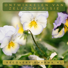 Meditatie op het ontwikkelen van Zelfcompassie
