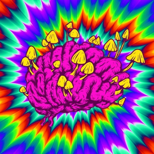 MDMA - kage
