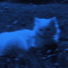 !?ɖɨʄʄɛʀɛռȶ ɖɨʍɛռֆɨօռ?!