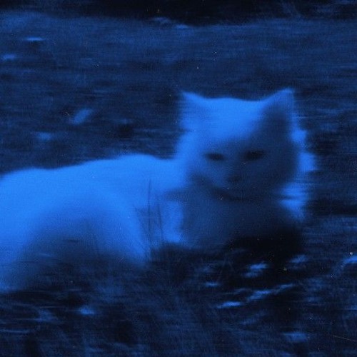 !?ɖɨʄʄɛʀɛռȶ ɖɨʍɛռֆɨօռ?!