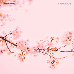 Sakura waltz