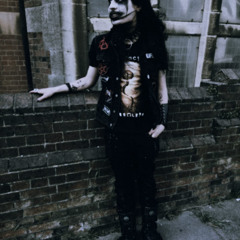 Soul Disintergration Demo cover for the paradox