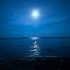 dabbackwood - дорого