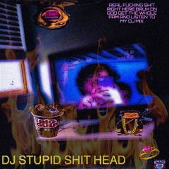 DJ STUPID SHIT HEAD MIX