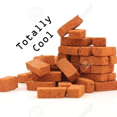 totallycoolbricks (totallycooldad x cactusandbricks) b2b - live in daytona 1/23