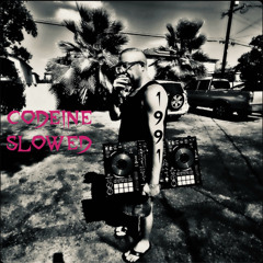 The 20 Bangers Mix Show #32 (Slowed Version): 1991 Side Bee