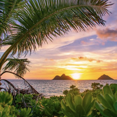 𝗧𝗶𝗻𝗴𝗼𝗿 𝗡𝗴𝗲𝗻𝗶 𝗞𝗲𝗺𝗶 (𝗖𝗼𝘃𝗲𝗿) 𝗦𝗶𝘇𝘇𝗹𝗲