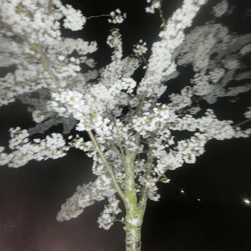 Onlyonsoundcloud