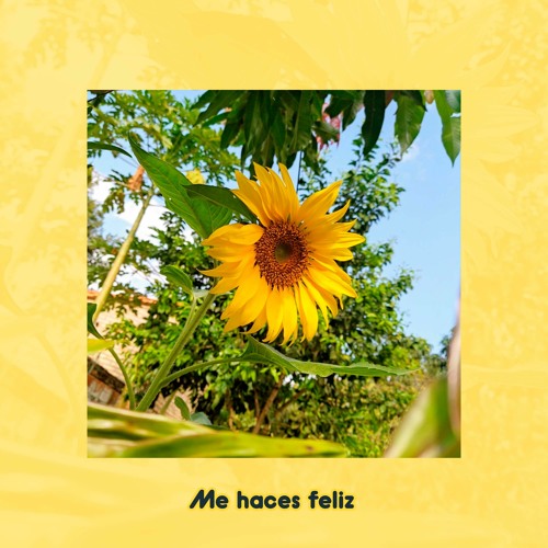 Mitxel Code - Me Haces Feliz