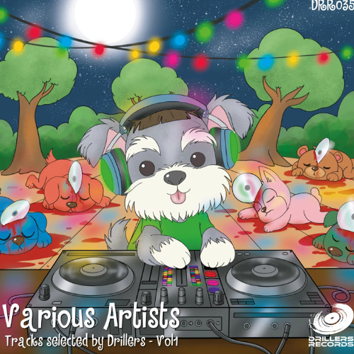 Angelo Raguso, FAW9 - Indigeno (Original Mix) [Driller Records]