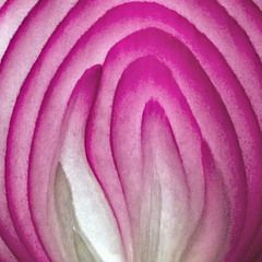 XARC YALDAM GOMBO (DEMIO)