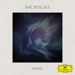 Nachtigall (piano version)