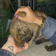 Цепь