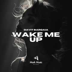 Davit Barqaia - Wake Me Up