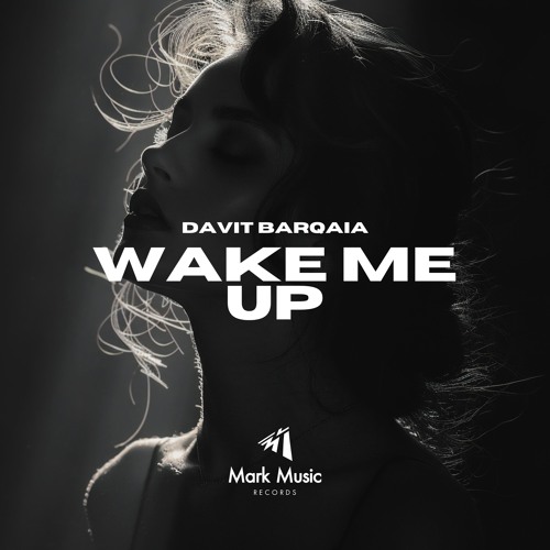 Davit Barqaia - Wake Me Up